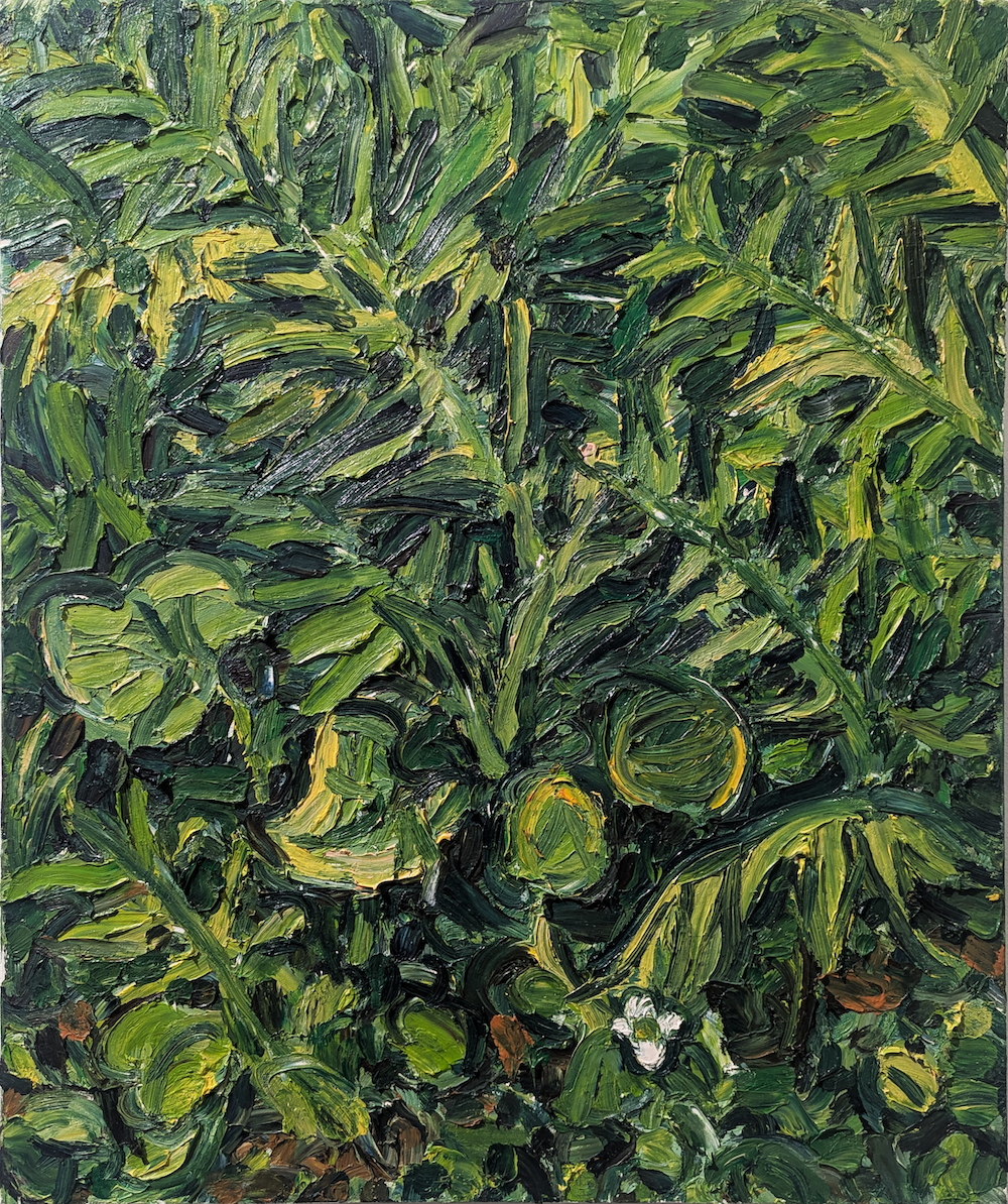 Foliage 22