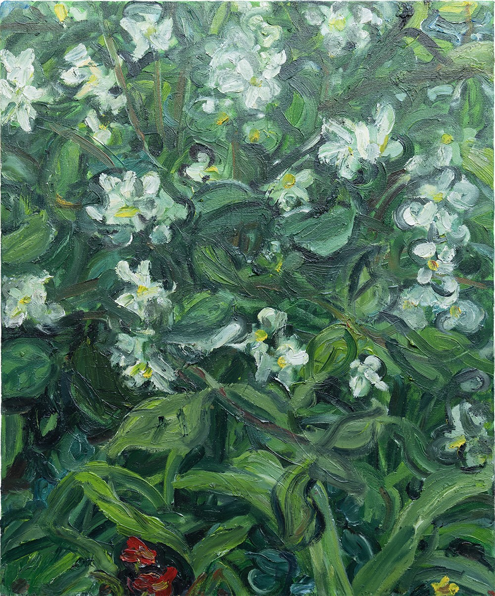 Foliage With Flowers