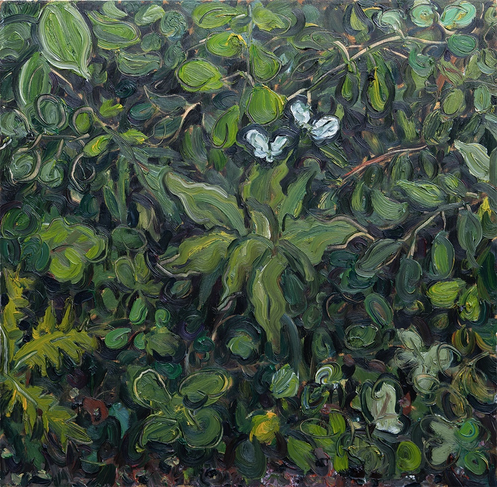 Foliage