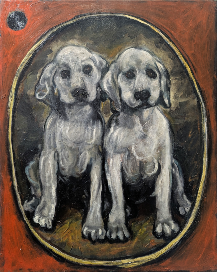 Scaboda Golden Puppies